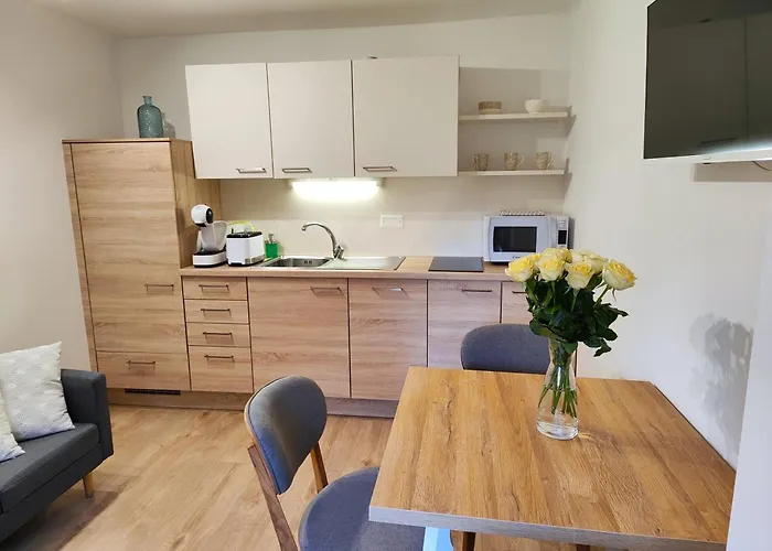 Sweet Roznik 公寓 卢布尔雅那